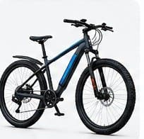 Bicycles & E-bikes