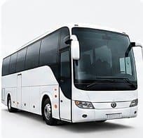 Buses & Coaches